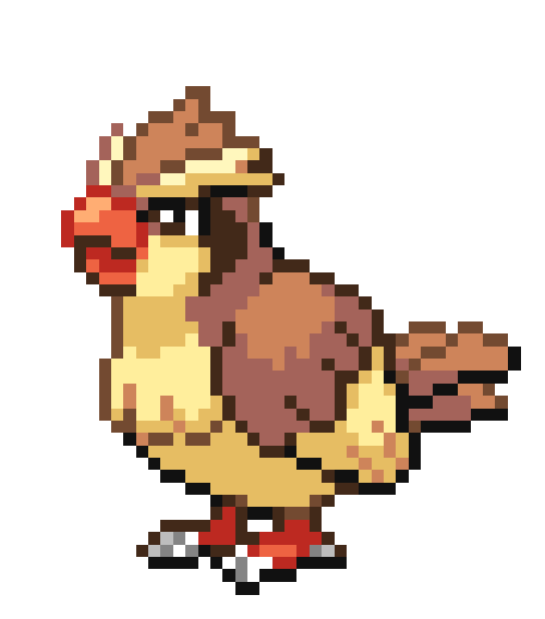 pidgey